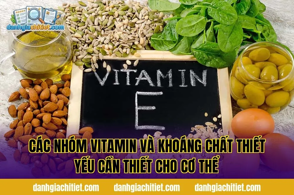 Các nhóm vitamin và khoáng chất thiết yếu cần thiết cho cơ thể