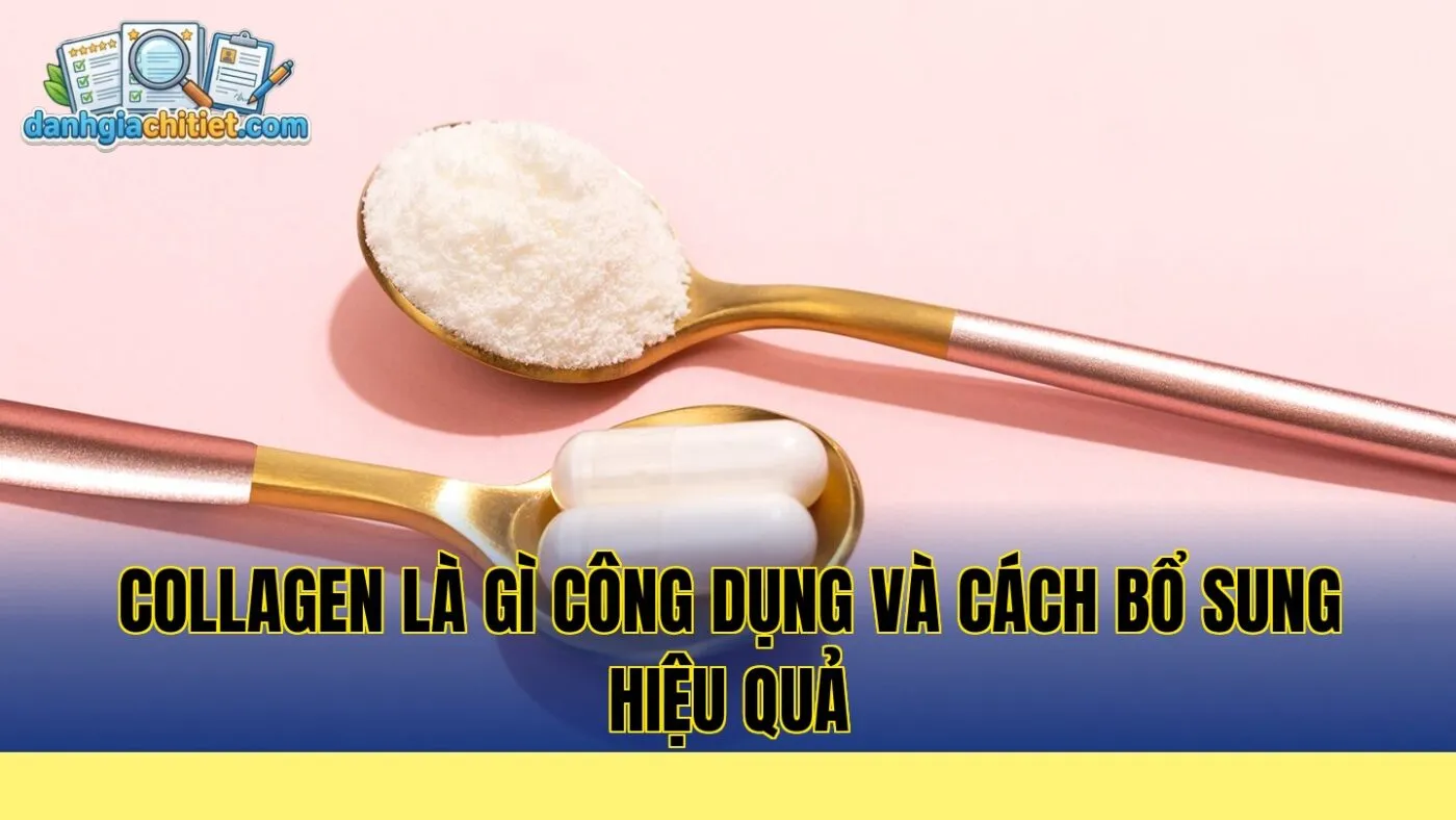 Collagen là gì công dụng và cách bổ sung hiệu quả