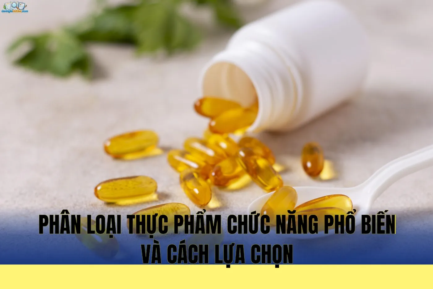Phân loại thực phẩm chức năng phổ biến và cách lựa chọn