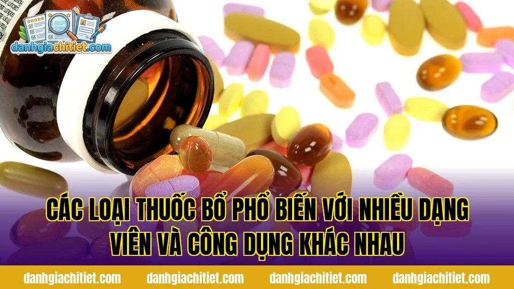 Các loại thuốc bổ phổ biến với nhiều dạng viên và công dụng khác nhau