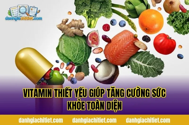 Vitamin Thiết Yếu Giúp Tăng Cường Sức Khỏe Toàn Diện